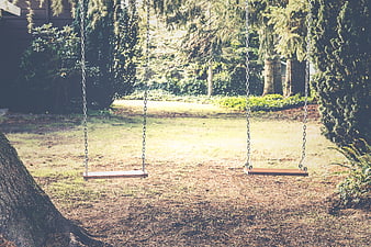 Empty wooden swings in a sunny backyard with trees