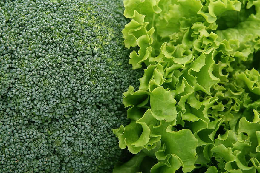 Close-up of fresh broccoli and crisp lettuce leaves
