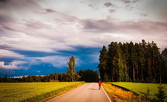 Cyclist Riding on Rural Road Through Forest and Fields