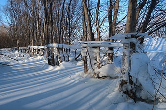 Snowy Winter Forest with Wooden Fence and Blue Sky