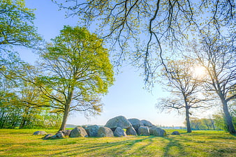 Ancient stone dolmen in sunlit spring meadow