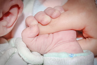 Close-up of newborn baby holding adult hand