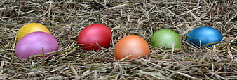 Colorful Easter Eggs Nestled In Dry Hay