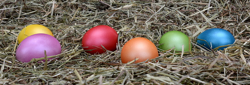 Colorful Easter Eggs Nestled In Dry Hay