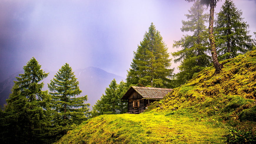 Rustic Alpine Cabin in Misty Mountain Forest Landscape