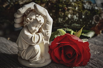 White Angel Statue and Red Rose on Weathered Wood