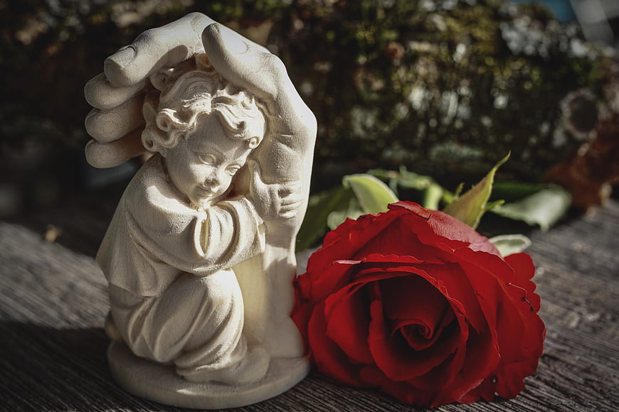 White Angel Statue and Red Rose on Weathered Wood