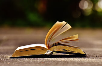 Open Book with Pages Blowing in the Wind Outdoors