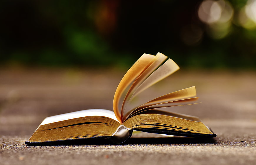 Open Book with Pages Blowing in the Wind Outdoors