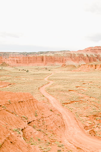 Winding dirt road through red rock canyon landscape
