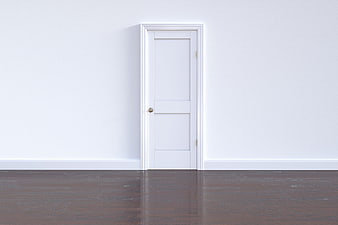 Minimalist white door on dark wooden floor interior