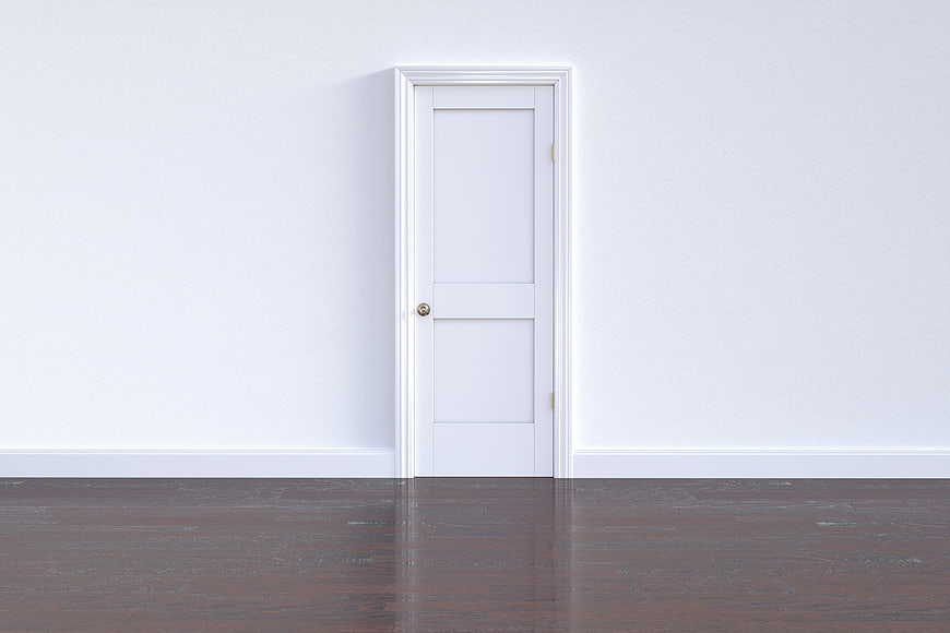 Minimalist white door on dark wooden floor interior