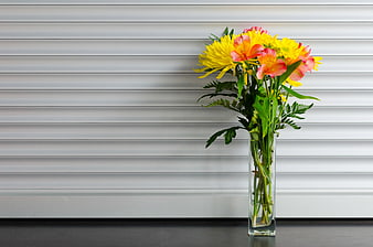 Yellow and Pink Flowers in Glass Vase Against White Blinds