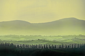 Misty Tuscan Landscape with Cypress Trees and Rolling Hills