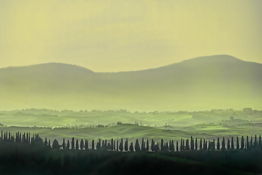Misty Tuscan Landscape with Cypress Trees and Rolling Hills