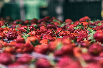 Fresh Red Strawberries in Plastic Containers at Market