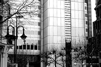 Black and white modern office building with bare trees