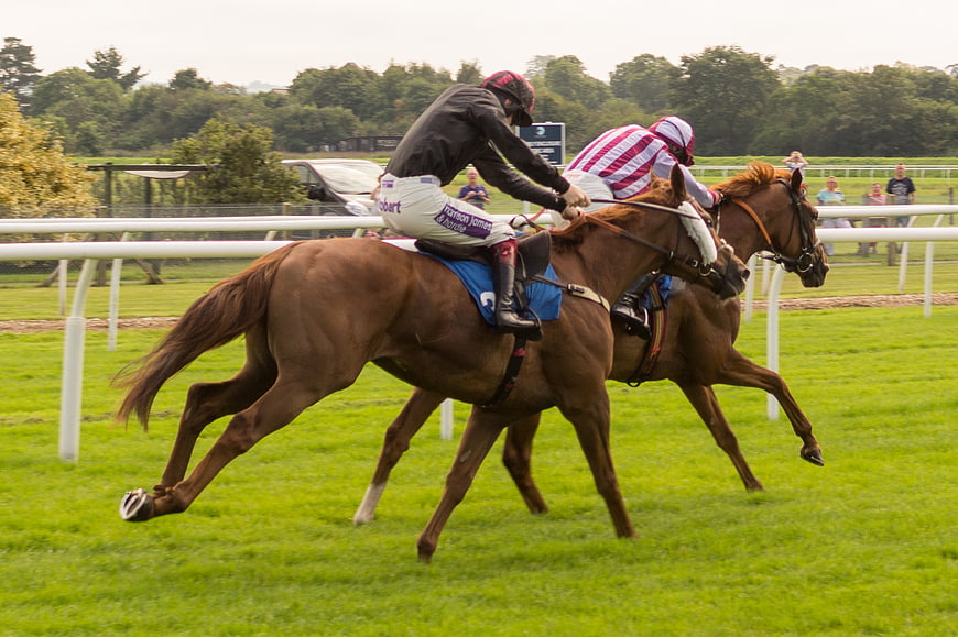 Two Jockeys Racing Horses on a Green Turf Track