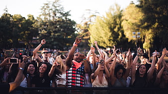 Excited Crowd at Outdoor Music Festival