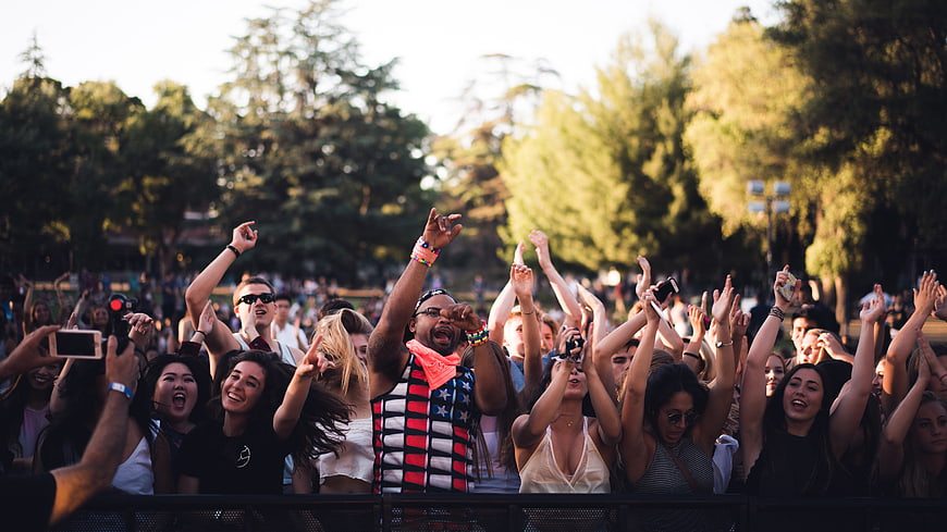 Excited Crowd at Outdoor Music Festival