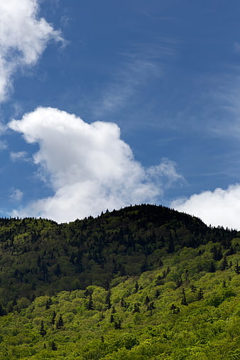 Lush green forested mountain under blue sky with clouds