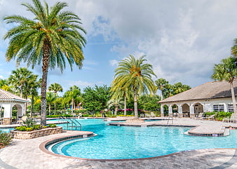 Tropical Resort Swimming Pool With Palm Trees And Cabanas