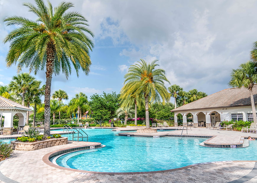 Tropical Resort Swimming Pool With Palm Trees And Cabanas