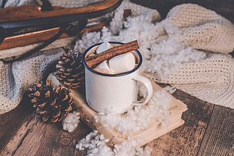 Cozy Winter Hot Chocolate With Marshmallows And Pinecones