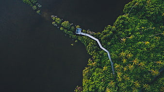 Aerial view of wooden boardwalk in tropical mangrove forest