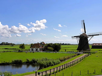 Traditional Dutch Windmill in Green Pastoral Landscape