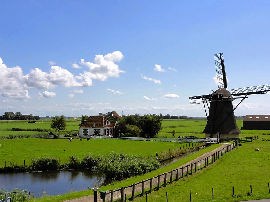 Traditional Dutch Windmill in Green Pastoral Landscape