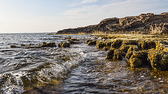 Rugged Rocky Coastline with Mossy Stones and Gentle Waves