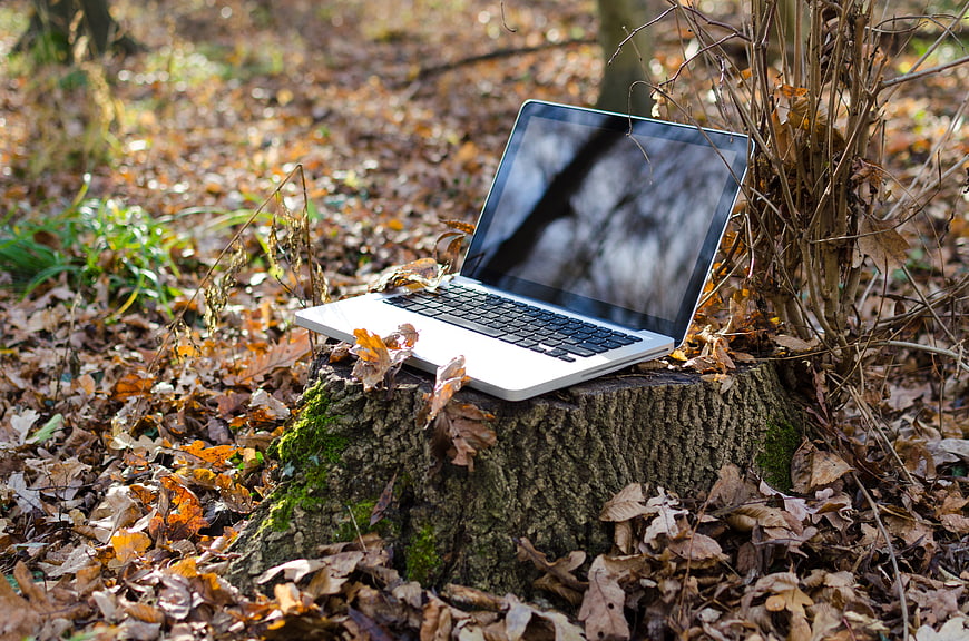 Laptop on tree stump in autumn forest with fallen leaves