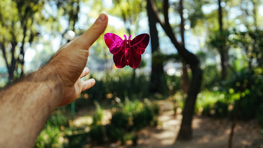Hand Reaching for Vibrant Pink Butterfly in Park