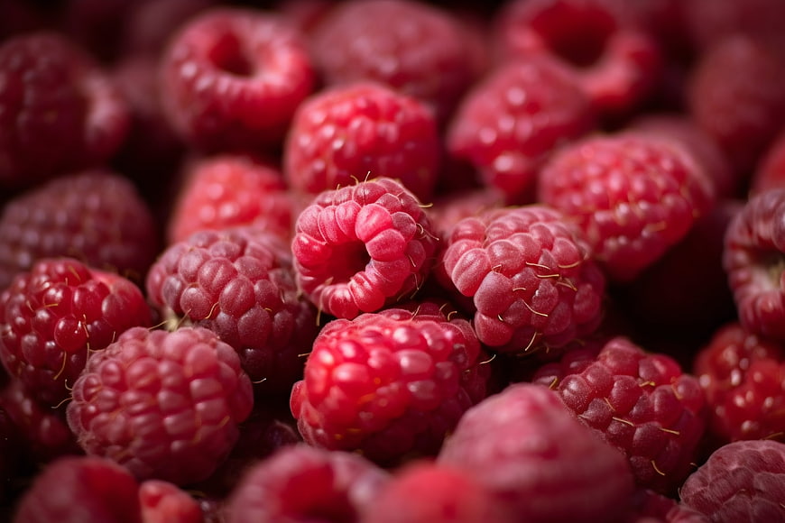Close-up macro shot of fresh red raspberries