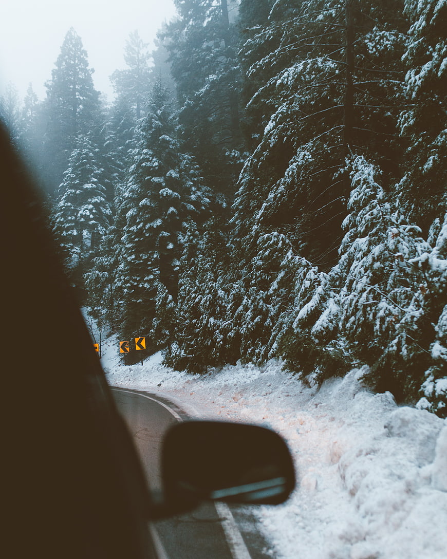 Winter road trip through snowy pine forest from car window
