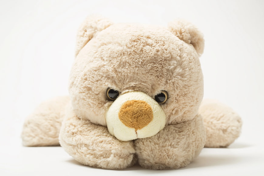 Cute beige teddy bear on white background