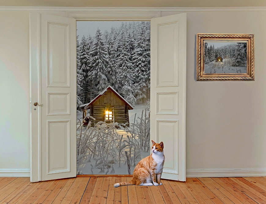 Surreal ginger cat sitting by open door to snowy forest