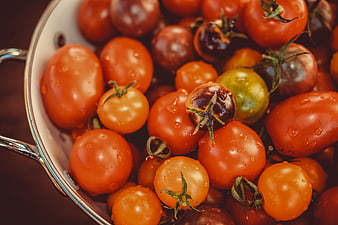 Fresh heirloom cherry tomatoes in a white colander with water droplets