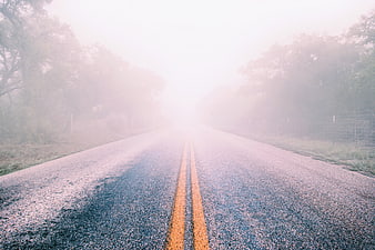 Foggy country road with yellow lines disappearing into mist