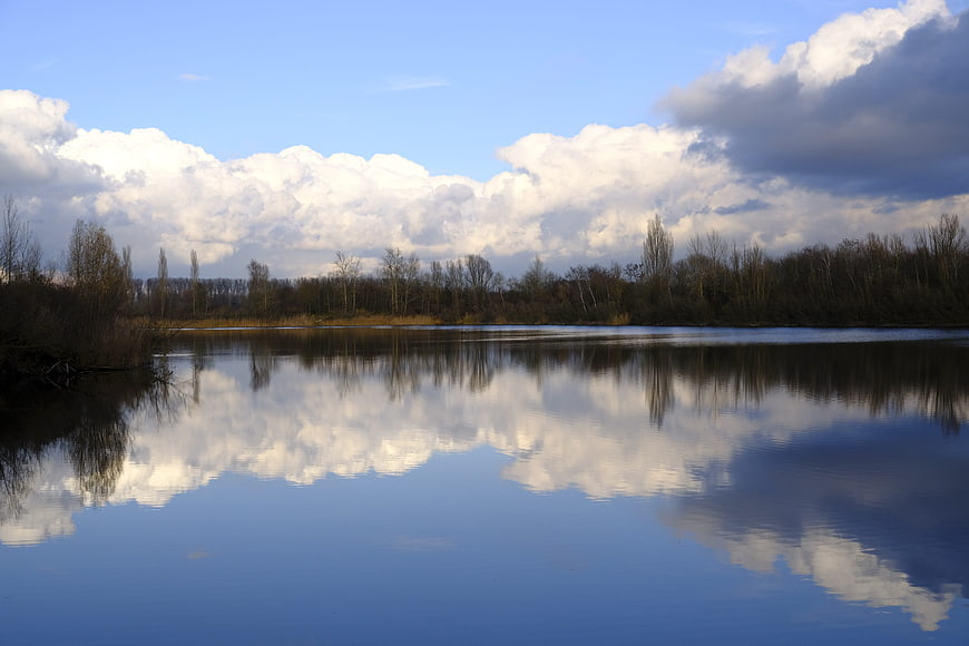 Serene Lake Reflection of Clouds and Trees
