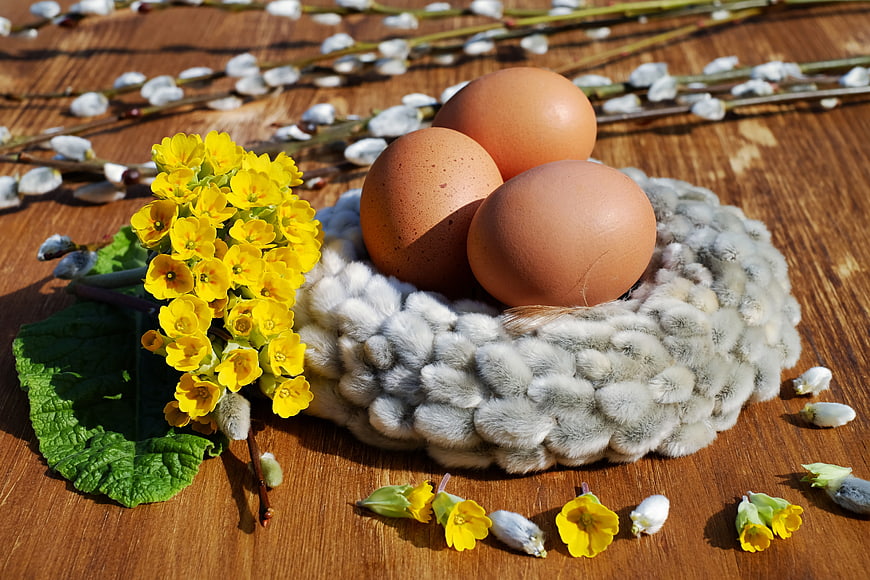 Easter Brown Eggs In Knitted Nest With Yellow Cowslips And Willow Catkins