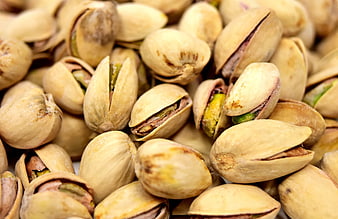 Close-up of roasted pistachios in shells