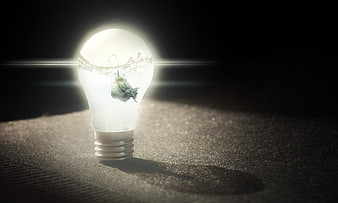 Anglerfish inside glowing lightbulb concept