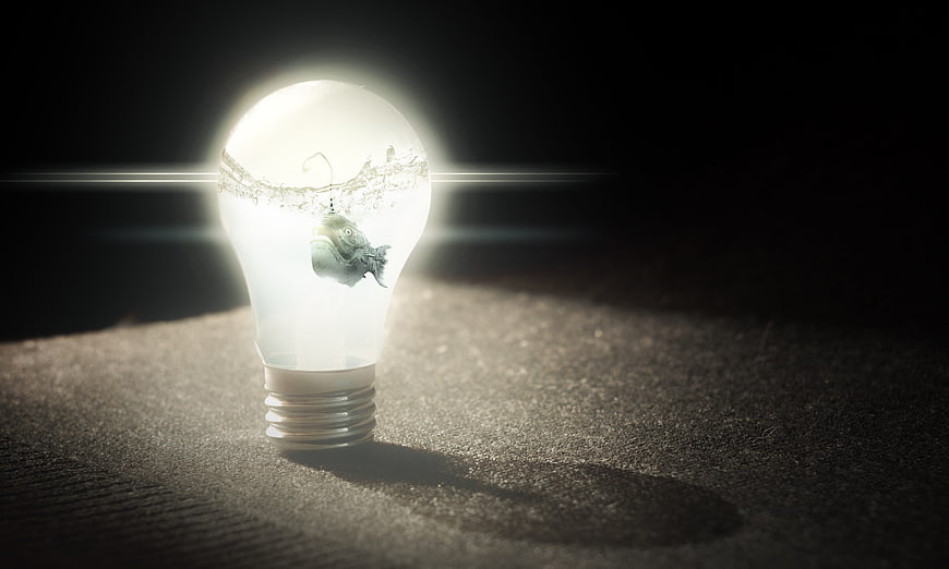 Anglerfish inside glowing lightbulb concept