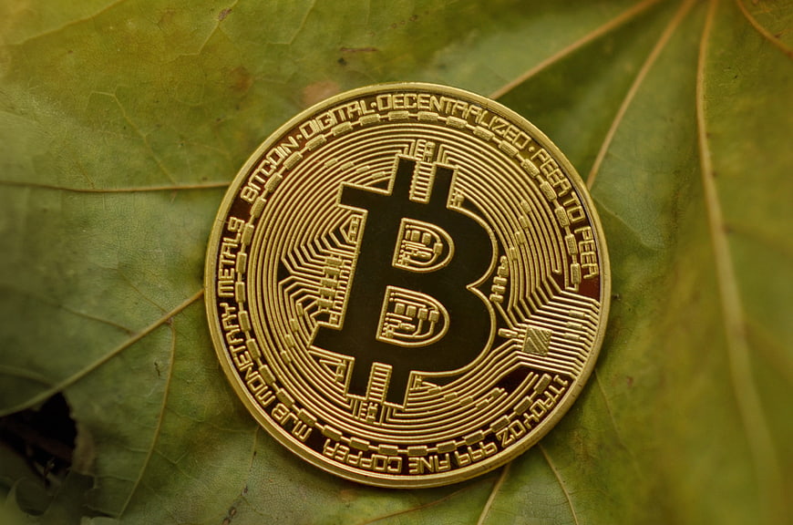 Gold Bitcoin Coin Resting On Green Leaf Nature Background