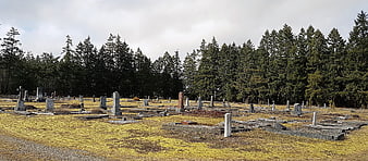 Wide view of old cemetery with headstones and pine forest
