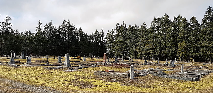 Wide view of old cemetery with headstones and pine forest