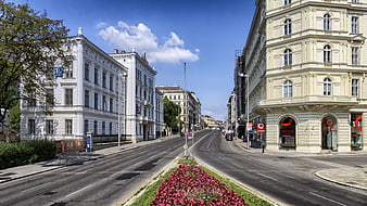 Wide City Street in Vienna with Historic Buildings and Flower Bed