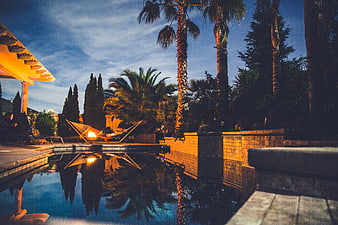 Luxury backyard pool with palm trees and fire pit at dusk